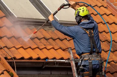 Démoussage et hydrofuge de toiture à Satillieu